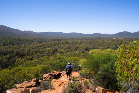 From Yulara: 8-Day Uluru to Adelaide Tour