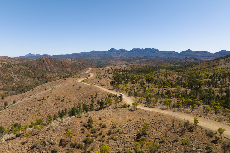 Au départ d'Adélaïde : circuit de 8 jours à UluruCircuit de 8 jours d'Adélaïde à Uluru