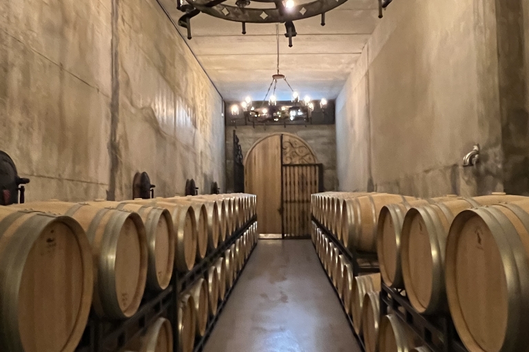 De Saint-Sébastien: excursion privée d'une journée dans la Rioja avec dégustation de vinDe Saint-Sébastien: excursion d'une journée dans la Rioja avec dégustations de vin