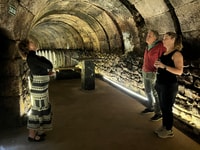 De San Sebastian, excursion d'une journée privée Rioja avec dégustation de vin - Housity