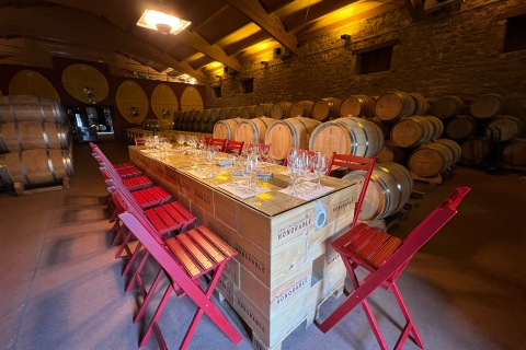 Van San Sebastian: privédagtrip Rioja met wijnproeverijVan San Sebastian: Rioja-dagtocht met wijnproeverijen