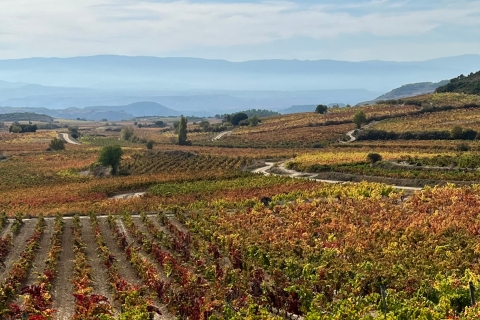 Desde San Sebastián: excursión privada de un día a Rioja con cata de vinosDesde San Sebastián: excursión de un día a Rioja con catas de vino