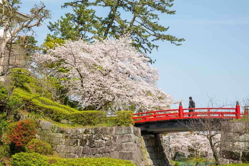 Odawara Odawara Burg Tenshukaku Eintrittskarte GetYourGuide
