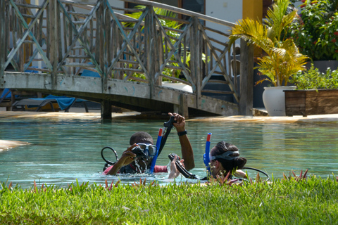 Zanzibar: Discover SCUBA Diving (geen certificering nodig)