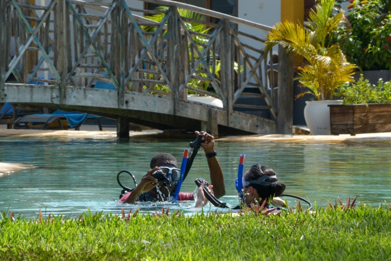 Zanzibar: odkryj nurkowanie z akwalungiem (bez wymaganego certyfikatu)