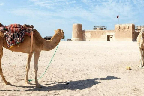 卡塔尔北部探索之旅：历史、遗产和瑰宝北卡塔尔探索之旅：历史、遗产和瑰宝