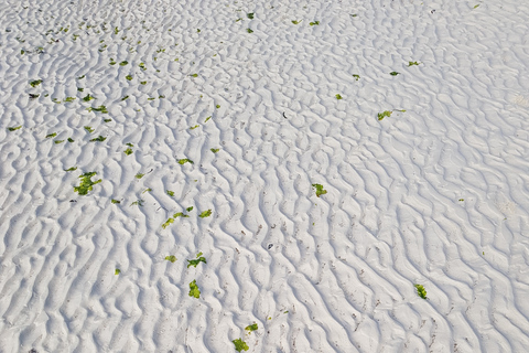 Nakupenda Sandbank Tour