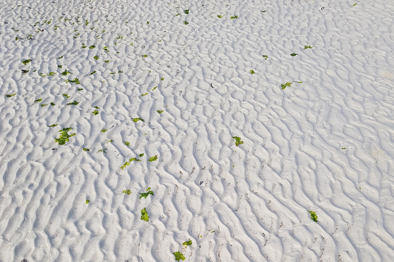 Nakupenda Sandbank Tour