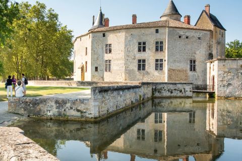 Bordeaux : Voyage avec vin dans les vignobles de Graves et au Château de La Brède