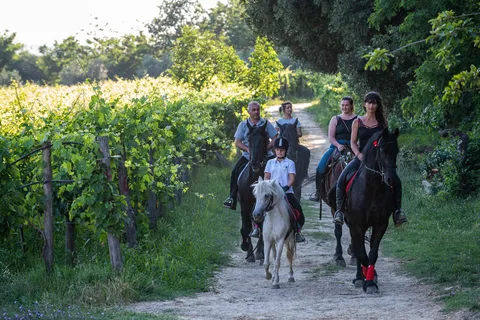 Valdichiana: Tour a cavallo con picnic toscano