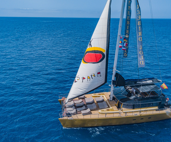 Costa Adeje: rejs do Masca i Los Gigantes z wielorybami