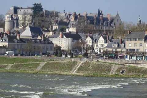 Blois: Prywatne zwiedzanie zamku z biletamiBlois: Prywatna piesza wycieczka po zamku