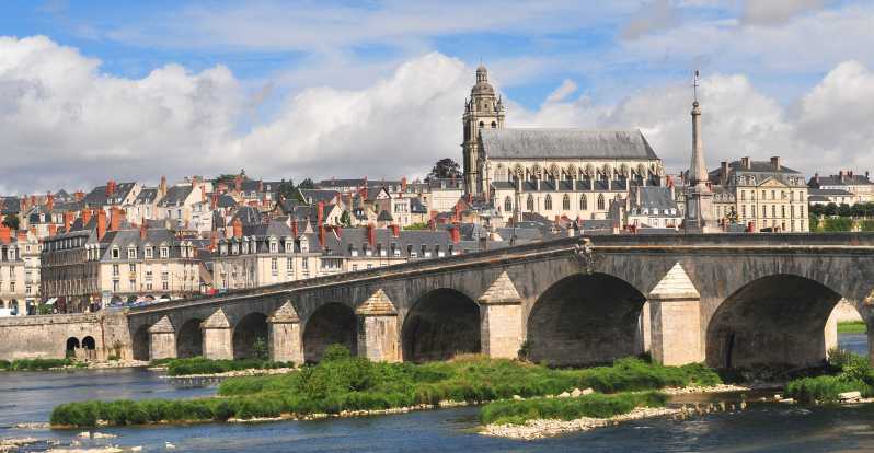 Blois: Private Tour of Blois Castle with Entry Tickets