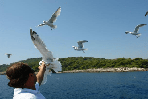 دوبروفنيك: رحلة بحرية بالقارب في جزر إلافيتي مع الغداء والمشروباتدوبروفنيك: رحلة بحرية في جزر إلاف
