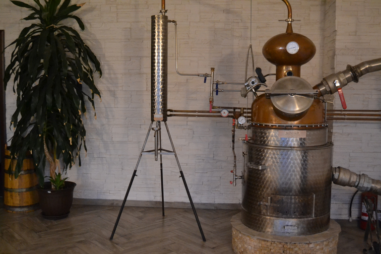 From Brasov: Guided Full-day Hidden tales of Rasnov tour