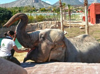 Benidorm, Terra Natura Theme Park 1-Day Tickets - Housity