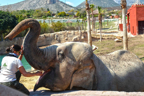 Benidorm: Terra Natura Theme Park 1-Day Tickets Terra Natura Theme Park 1-Day Entrance
