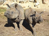 Benidorm, Terra Natura Theme Park 1-Day Tickets - Housity