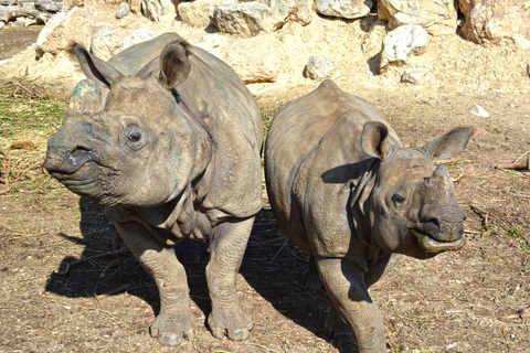 Benidorm: Terra Natura Theme Park 1-Day Tickets Terra Natura Theme Park 1-Day Entrance