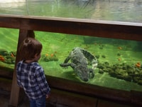 Benidorm, Terra Natura Theme Park 1-Day Tickets - Housity