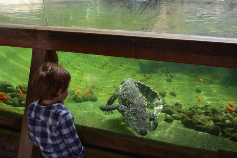 Benidorm: Terra Natura Theme Park 1-Day Tickets Terra Natura Theme Park 1-Day Entrance