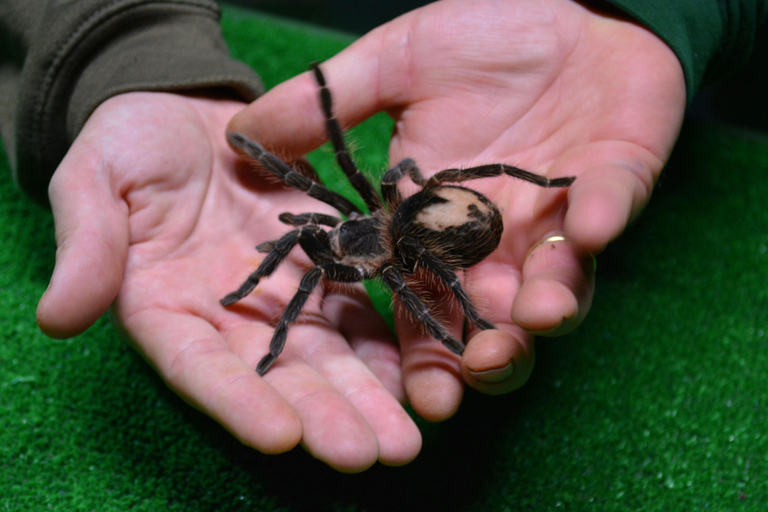 Benidorm: Terra Natura Theme Park 1-Day Tickets Terra Natura Theme Park 1-Day Entrance