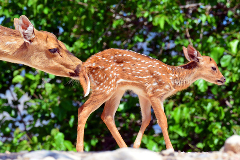 Benidorm: Terra Natura Theme Park 1-Day Tickets Terra Natura Theme Park 1-Day Entrance