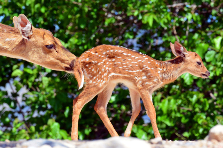 Benidorm: Terra Natura Theme Park 1-Day Tickets Terra Natura Theme Park 1-Day Entrance