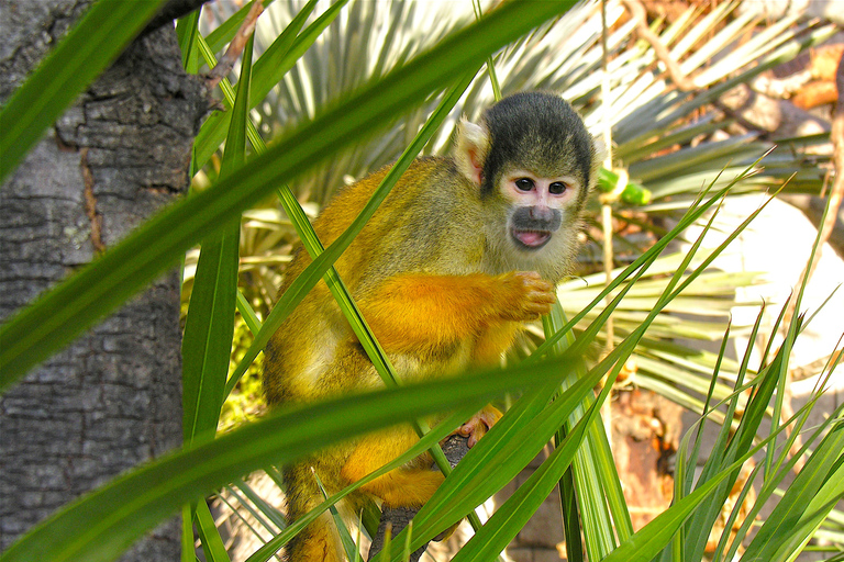 Benidorm: Terra Natura Theme Park 1-Day Tickets Terra Natura Theme Park 1-Day Entrance