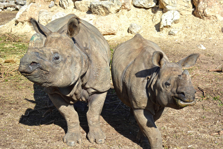 Benidorm: Terra Natura and Aqua Natura Combo Day Ticket Benidorm: Terra Natura and Aqua Natura 1-Day Ticket