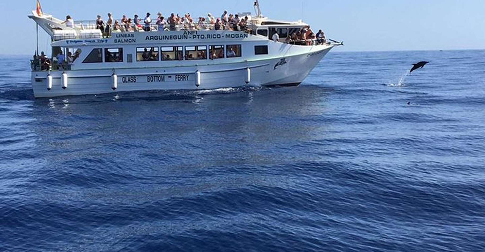 Gran Canaria, Delphin und Walbeobachtungskreuzfahrt - Housity