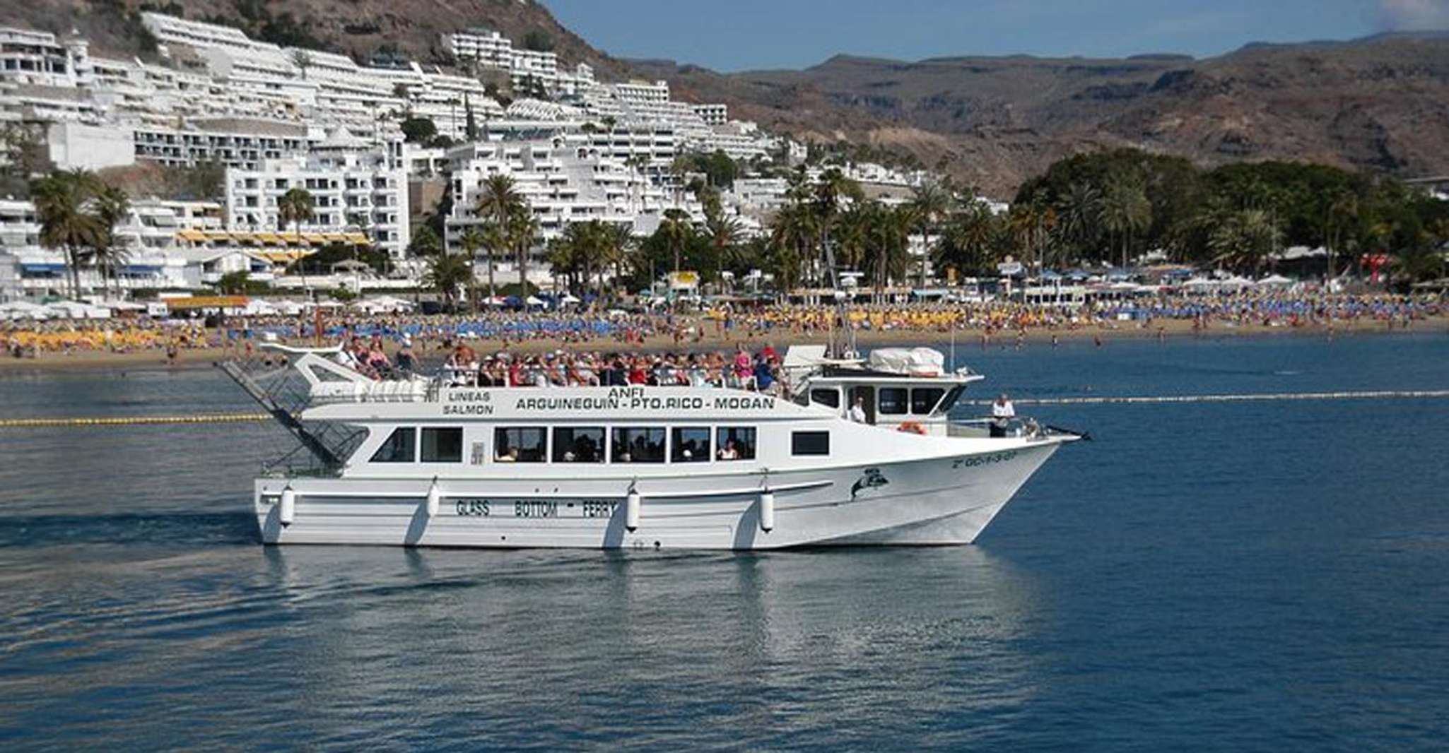 Gran Canaria, Delphin und Walbeobachtungskreuzfahrt - Housity