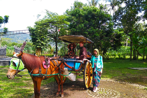 Yogyakarta: Borobudur Climb and Prambanan Private Day Tour Private Tour with Included Ticket