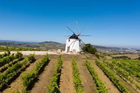 Excursión enológica desde lisboa con catas y enólogo por un día