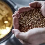 Berlino: Tour della BRLO BRWHOUSE e degustazione di birra artigianale