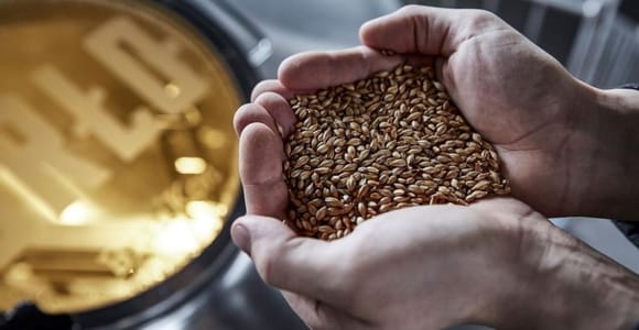 Berlin: BRLO BRWHOUSE Tour und Craft Beer Verkostung