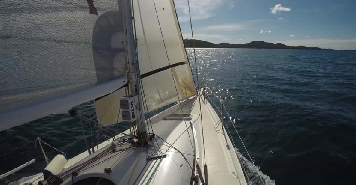 From Zadar Private Sports Sailing Tour GetYourGuide