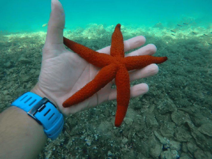 From Zadar Private Sports Sailing Tour GetYourGuide