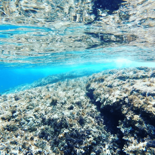 From Zadar Private Sports Sailing Tour GetYourGuide