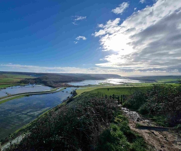 From London: Sussex Villages and White Cliff Guided Tour