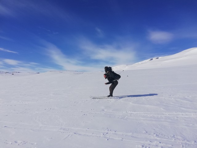 Visit From Mora 5-Day Ski and Outdoor Skills Trip & Log Cabin in Dalarna