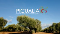Oleopack Picualia (tour & oil tasting) - Housity