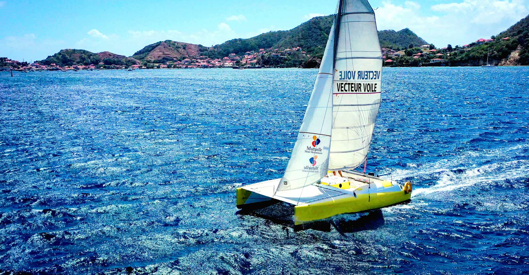 Sailing catamaran in La Baie des Saintes - Housity