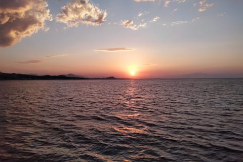 Denia: Denia: Auringonlaskun katamaraaniretki simpukoiden maistelun ja viinin kera.