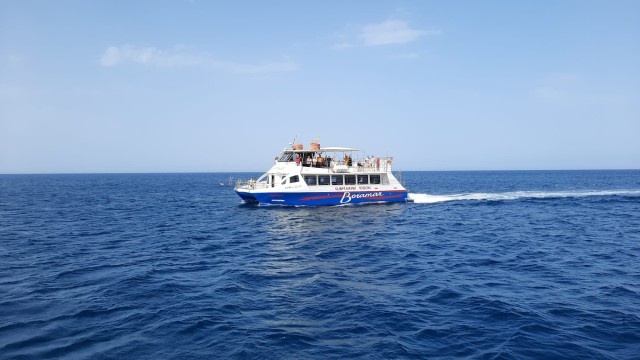 Visit From Denia Motor Catamaran Trip to the Cova Tallada in Costa Nova