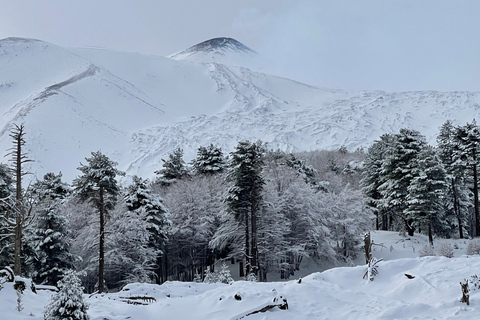 Piano Provenzana: Guided Mt. Etna Snowshoeing Trek