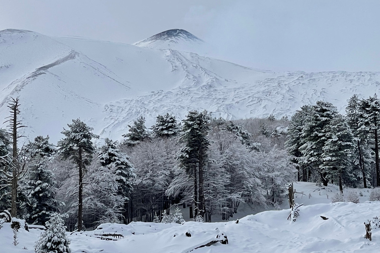 Piano Provenzana: Guided Mt. Etna Snowshoeing Trek