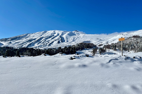 Piano Provenzana: Guided Mt. Etna Snowshoeing Trek