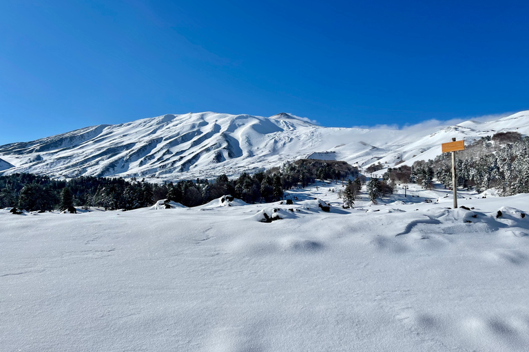 Piano Provenzana: Guided Mt. Etna Snowshoeing Trek