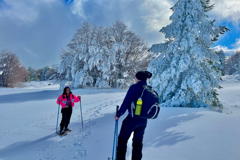 Piano Provenzana: Guided Mt. Etna Snowshoeing Trek